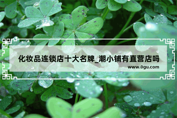 化妆品连锁店十大名牌_潮小铺有直营店吗