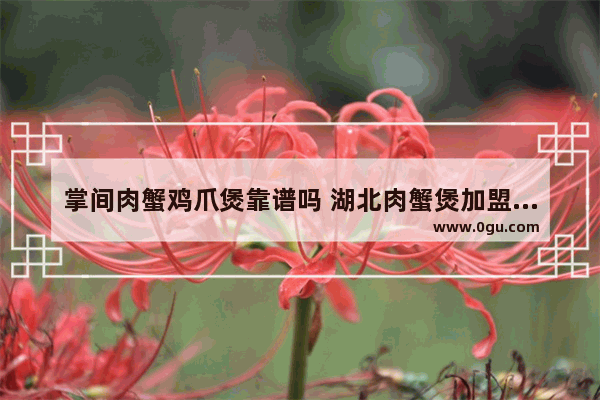 掌间肉蟹鸡爪煲靠谱吗 湖北肉蟹煲加盟店品牌排行
