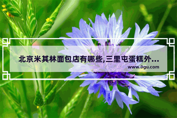 北京米其林面包店有哪些,三里屯蛋糕外送美食店加盟