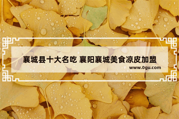 襄城县十大名吃 襄阳襄城美食凉皮加盟