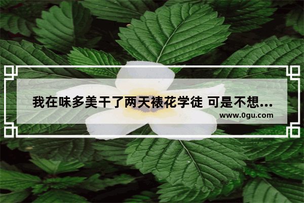 我在味多美干了两天裱花学徒 可是不想学裱花了 可不可以转店转做面包学徒 味多美食品加盟