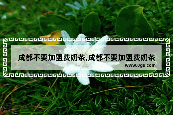成都不要加盟费奶茶,成都不要加盟费奶茶