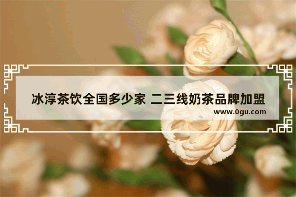 冰淳茶饮全国多少家 二三线奶茶品牌加盟