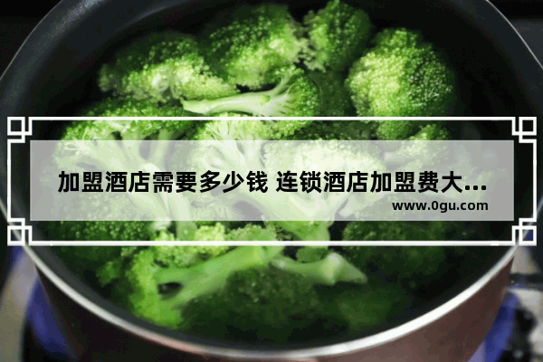 加盟酒店需要多少钱 连锁酒店加盟费大概多少 深圳酒店智能终端加盟