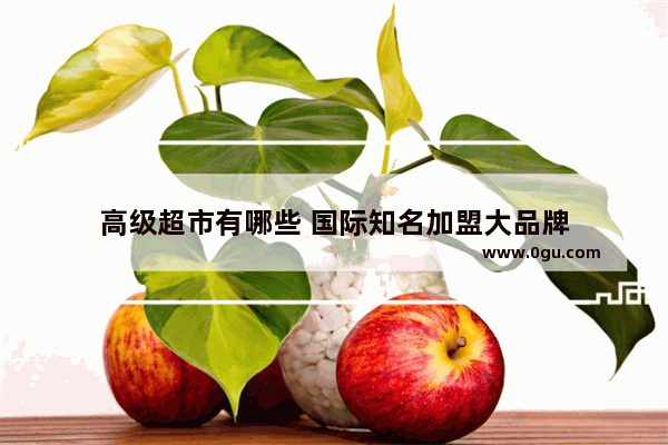 高级超市有哪些 国际知名加盟大品牌