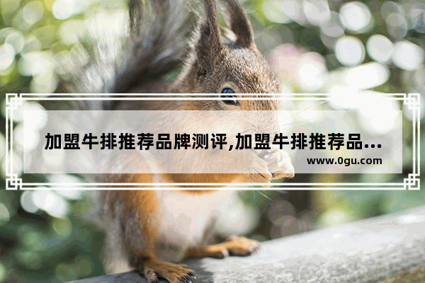 加盟牛排推荐品牌测评,加盟牛排推荐品牌测评