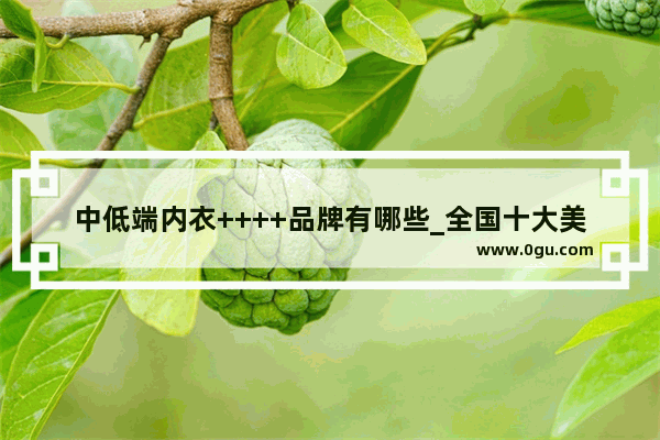 中低端内衣++++品牌有哪些_全国十大美容品牌排行榜有哪些知名的品牌