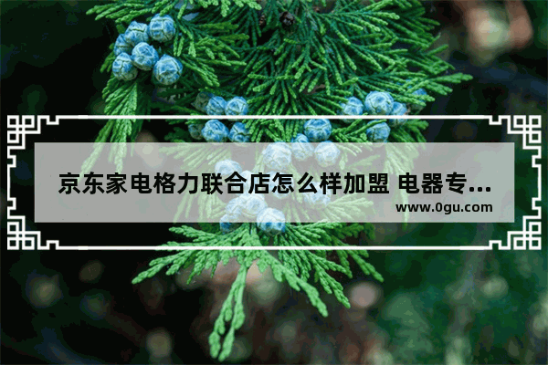 京东家电格力联合店怎么样加盟 电器专卖店加盟