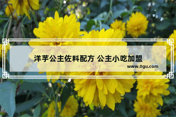 洋芋公主佐料配方 公主小吃加盟