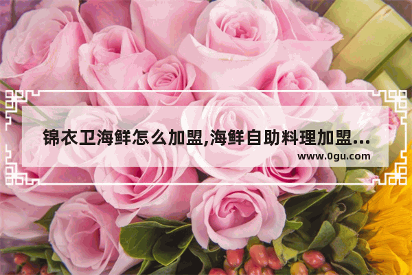 锦衣卫海鲜怎么加盟,海鲜自助料理加盟品牌