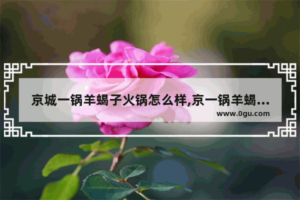 京城一锅羊蝎子火锅怎么样,京一锅羊蝎子加盟