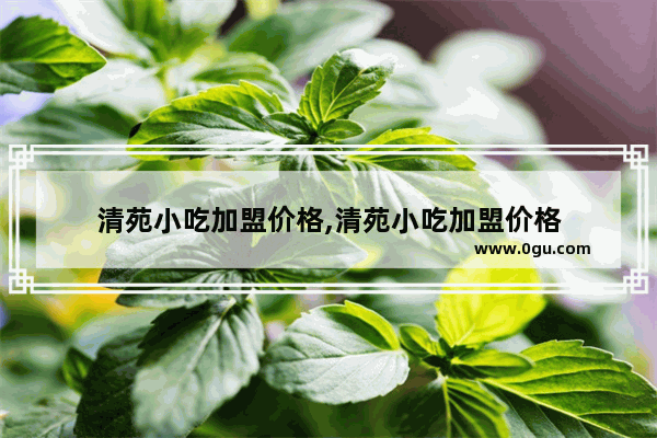 清苑小吃加盟价格,清苑小吃加盟价格