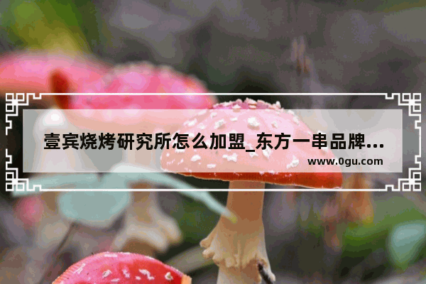 壹宾烧烤研究所怎么加盟_东方一串品牌介绍