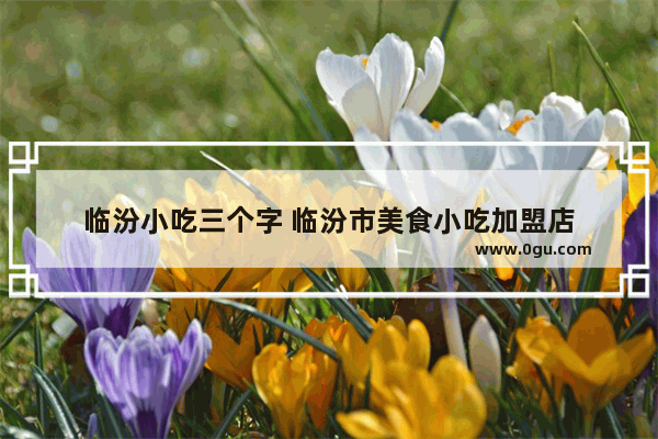临汾小吃三个字 临汾市美食小吃加盟店