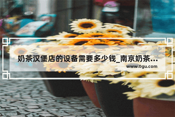 奶茶汉堡店的设备需要多少钱_南京奶茶汉堡加盟