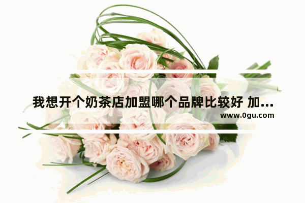 我想开个奶茶店加盟哪个品牌比较好 加盟小奶茶店品牌有哪些