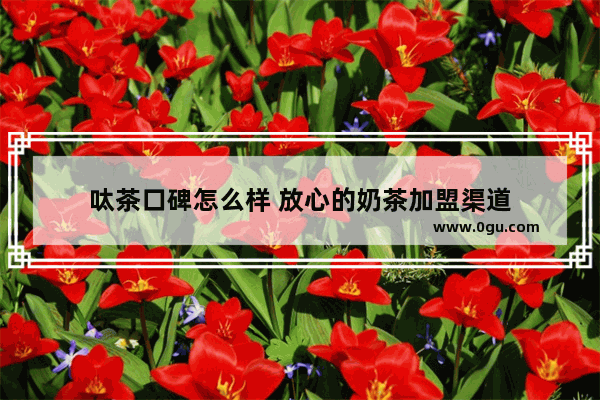 呔茶口碑怎么样 放心的奶茶加盟渠道