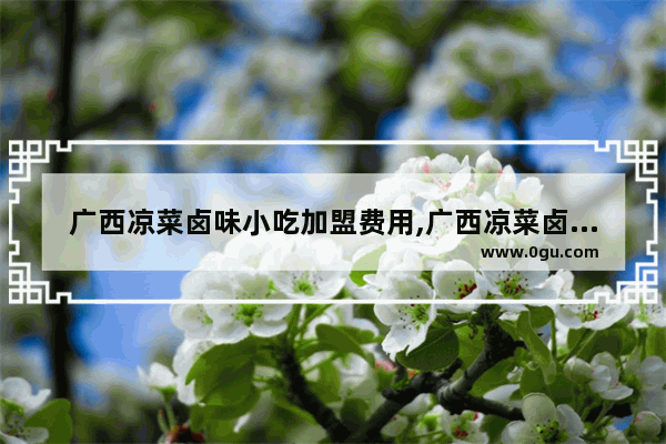广西凉菜卤味小吃加盟费用,广西凉菜卤味小吃加盟费用