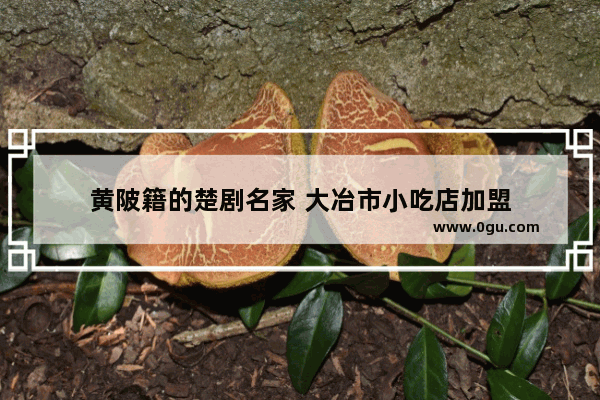 黄陂籍的楚剧名家 大冶市小吃店加盟