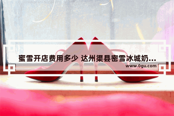 蜜雪开店费用多少 达州渠县密雪冰城奶茶加盟