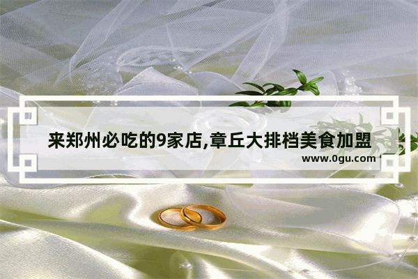 来郑州必吃的9家店,章丘大排档美食加盟