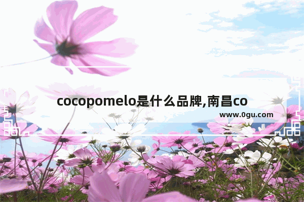 cocopomelo是什么品牌,南昌coco奶茶加盟150万