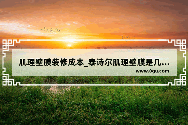 肌理壁膜装修成本_泰诗尔肌理壁膜是几线牌子