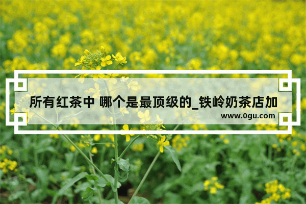 所有红茶中 哪个是最顶级的_铁岭奶茶店加盟排行榜