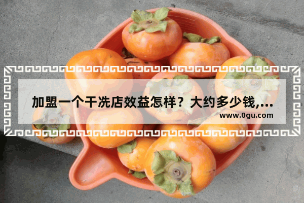 加盟一个干冼店效益怎样？大约多少钱,香皂制作加盟