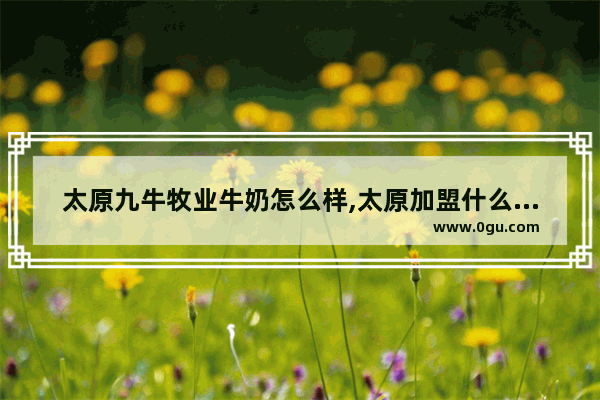 太原九牛牧业牛奶怎么样,太原加盟什么小吃店