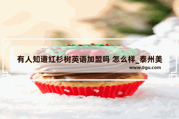 有人知道红杉树英语加盟吗 怎么样_泰州美食餐饮加盟
