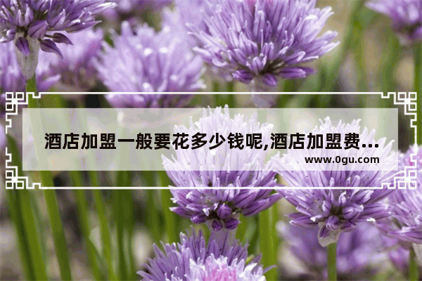 酒店加盟一般要花多少钱呢,酒店加盟费账务处理