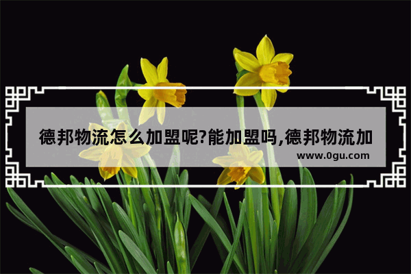 德邦物流怎么加盟呢?能加盟吗,德邦物流加盟条件