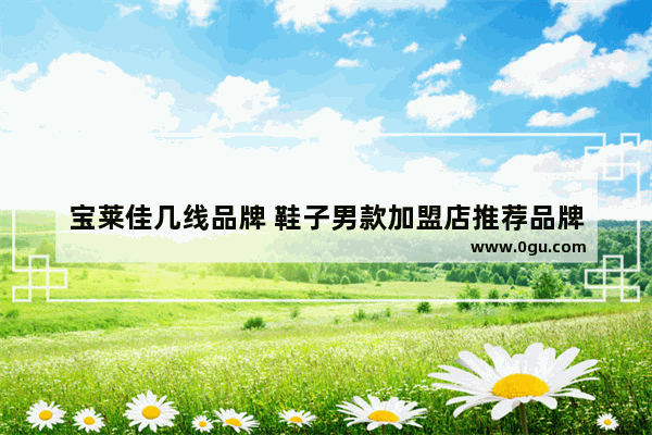 宝莱佳几线品牌 鞋子男款加盟店推荐品牌