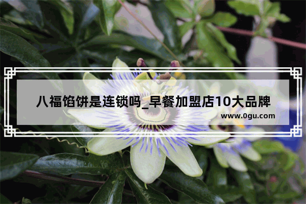 八福馅饼是连锁吗_早餐加盟店10大品牌