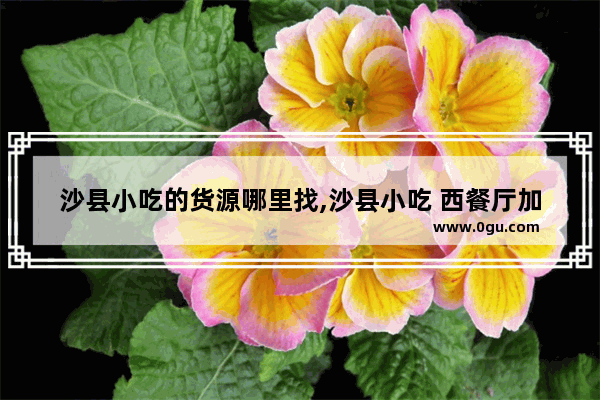 沙县小吃的货源哪里找,沙县小吃 西餐厅加盟费多少