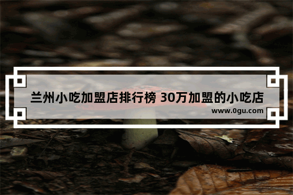兰州小吃加盟店排行榜 30万加盟的小吃店