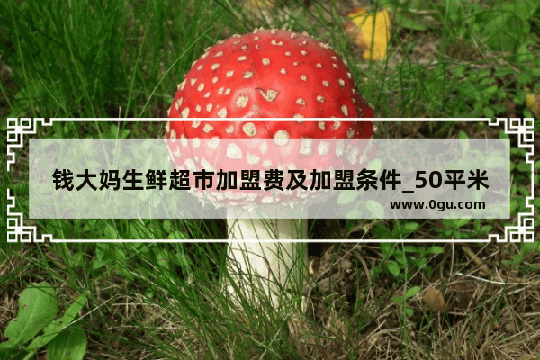 钱大妈生鲜超市加盟费及加盟条件_50平米超市加盟店排行榜