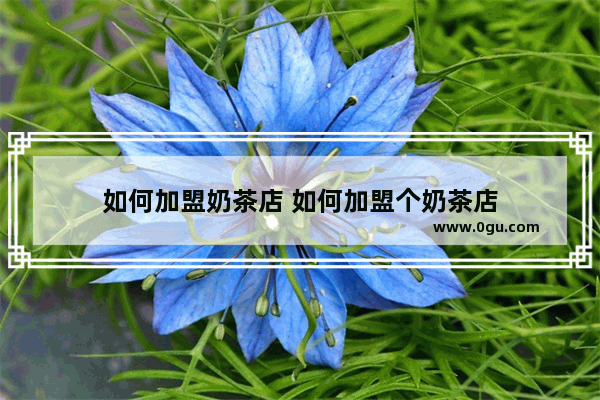 如何加盟奶茶店 如何加盟个奶茶店