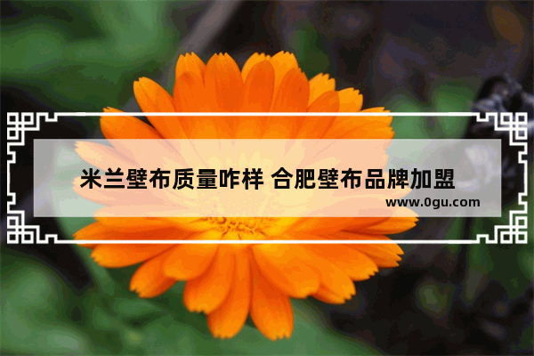 米兰壁布质量咋样 合肥壁布品牌加盟