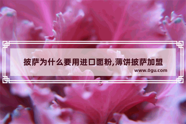 披萨为什么要用进口面粉,薄饼披萨加盟