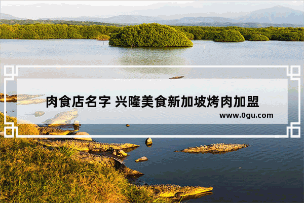 肉食店名字 兴隆美食新加坡烤肉加盟