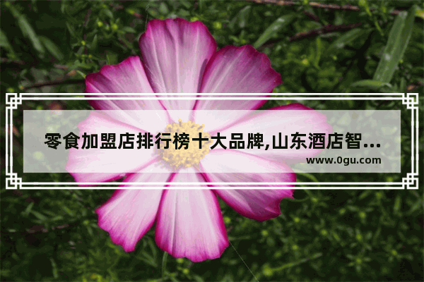 零食加盟店排行榜十大品牌,山东酒店智能锁加盟找哪家