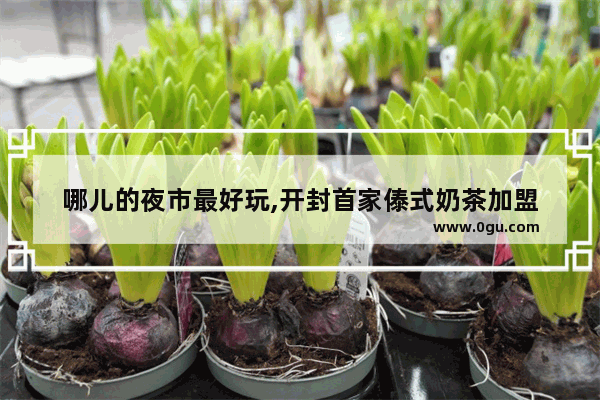 哪儿的夜市最好玩,开封首家傣式奶茶加盟