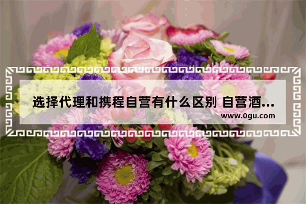 选择代理和携程自营有什么区别 自营酒店和加盟酒店的利弊