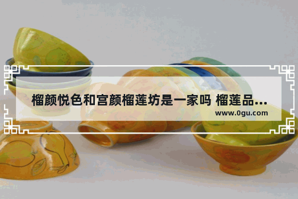 榴颜悦色和宫颜榴莲坊是一家吗 榴莲品牌加盟店