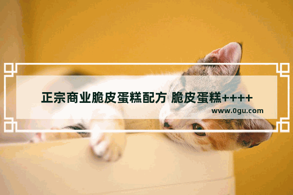 正宗商业脆皮蛋糕配方 脆皮蛋糕++++
