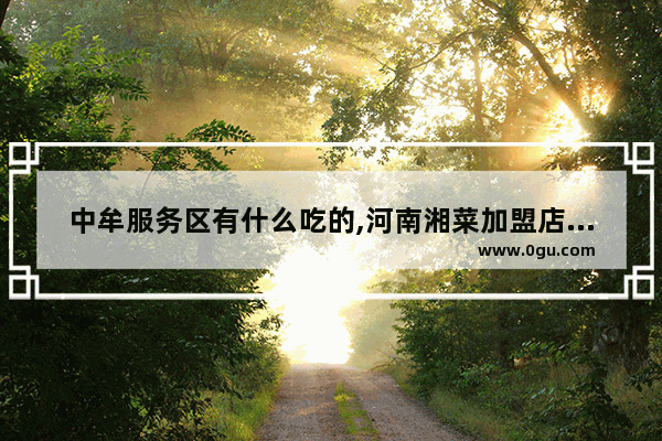 中牟服务区有什么吃的,河南湘菜加盟店排行榜
