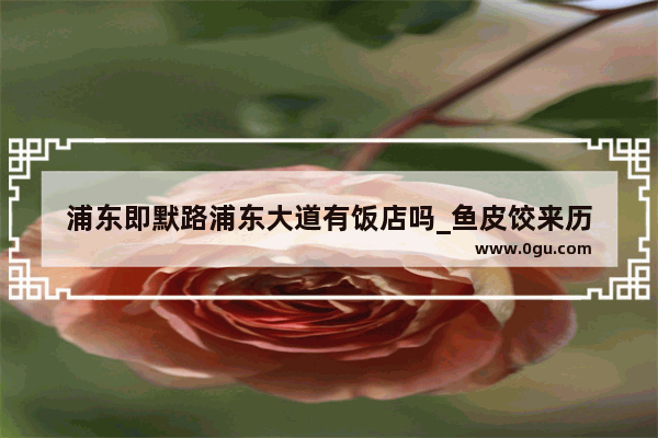浦东即默路浦东大道有饭店吗_鱼皮饺来历