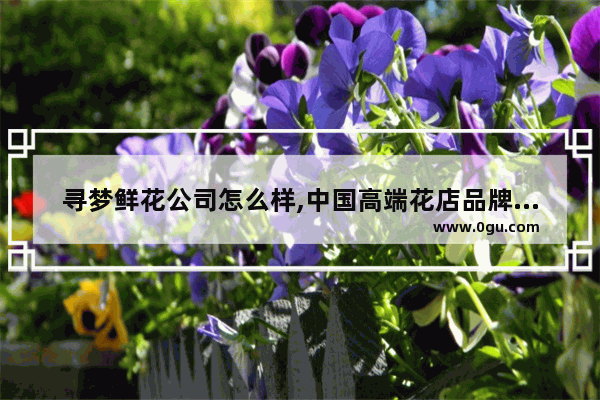 寻梦鲜花公司怎么样,中国高端花店品牌加盟